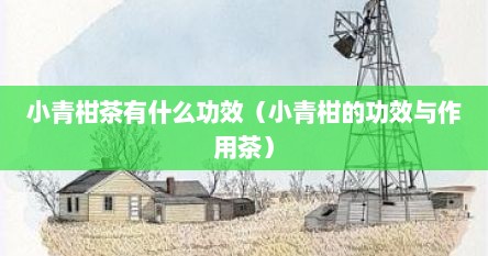 小青柑茶有什么功效（小青柑的功效与作用茶）