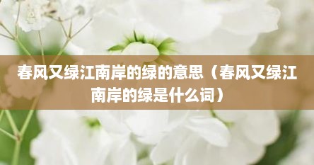 春风又绿江南岸的绿的意思（春风又绿江南岸的绿是什么词）