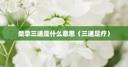 桑拿三通是什么意思（三通足疗）