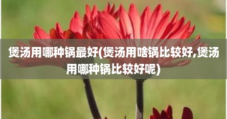 煲汤用哪种锅最好(煲汤用啥锅比较好,煲汤用哪种锅比较好呢)