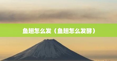 鱼翅怎么发（鱼翅怎么发酵）