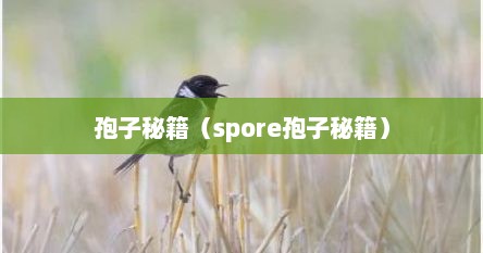 孢子秘籍（spore孢子秘籍）
