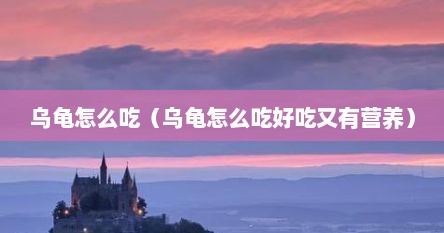 乌龟怎么吃（乌龟怎么吃好吃又有营养）