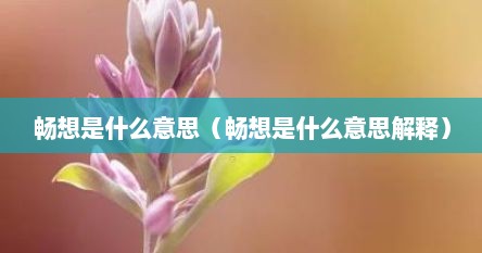 畅想是什么意思（畅想是什么意思解释）