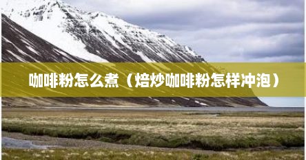 咖啡粉怎么煮（焙炒咖啡粉怎样冲泡）