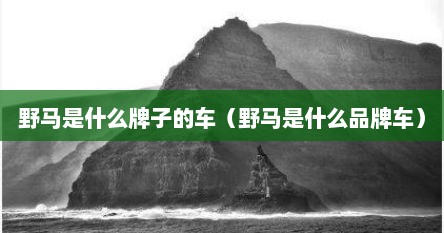 野马是什么牌子的车（野马是什么品牌车）