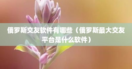 俄罗斯交友软件有哪些（俄罗斯最大交友平台是什么软件）