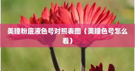 美瞳粉底液色号对照表图（美瞳色号怎么看）