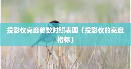 投影仪亮度参数对照表图（投影仪的亮度指标）