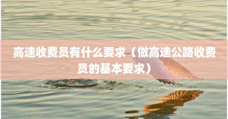 高速收费员有什么要求（做高速公路收费员的基本要求）