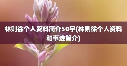 林则徐个人资料简介50字(林则徐个人资料和事迹简介)