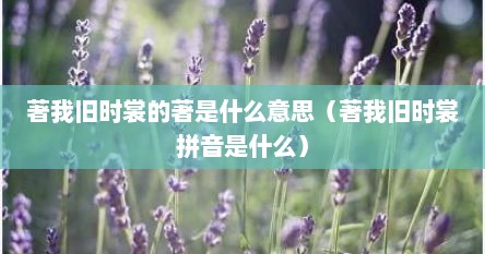 著我旧时裳的著是什么意思（著我旧时裳拼音是什么）