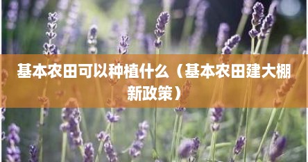 基本农田可以种植范围（基本农田能建种植大棚吗）