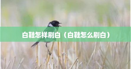 白鞋怎样刷白（白鞋怎么刷白）
