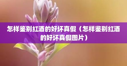 怎样鉴别红酒的好坏真假（怎样鉴别红酒的好坏真假图片）
