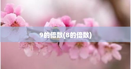 9的倍数(8的倍数)