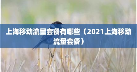 上海移动流量套餐有哪些（2021上海移动流量套餐）