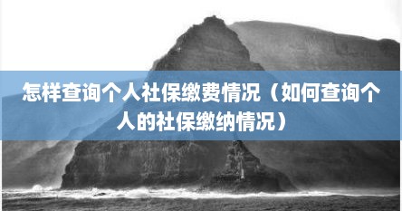 怎样查询个人社保缴费情况（如何查询个人的社保缴纳情况）