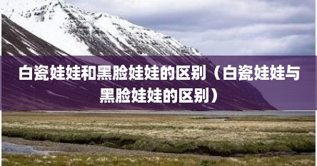 白瓷娃娃和黑脸娃娃的区别（白瓷娃娃与黑脸娃娃的区别）