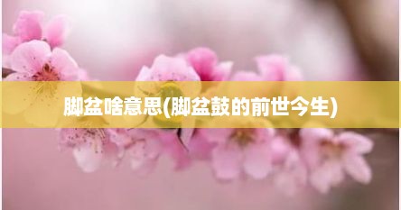 脚盆啥意思(脚盆鼓的前世今生)