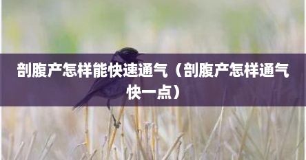 剖腹产怎样能快速通气（剖腹产怎样通气快一点）