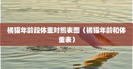 橘猫年龄查询（橘猫的每个年龄段体重标准）