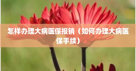 怎样办理大病医保报销（如何办理大病医保手续）