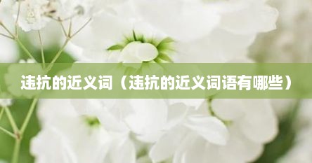 违抗的近义词（违抗的近义词语有哪些）