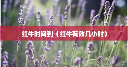 红牛时间到（红牛有效几小时）
