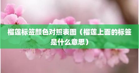 榴莲标签颜色对照表图（榴莲上面的标签是什么意思）