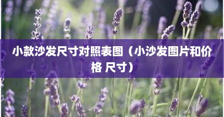小款沙发尺寸对照表图（小沙发图片和价格 尺寸）