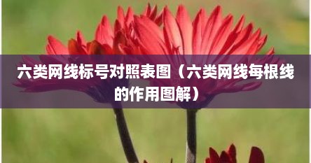 六类网线标号对照表图（六类网线每根线的作用图解）