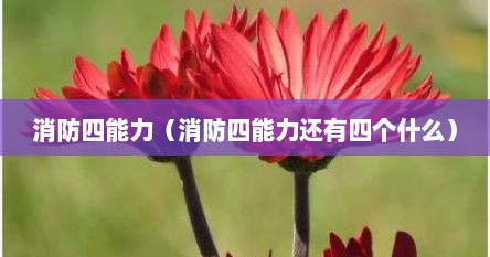 消防四能力（消防四能力还有四个什么）