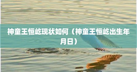 神童王恒屹现状如何（神童王恒屹出生年月日）