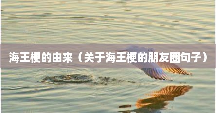 海王梗的由来（关于海王梗的朋友圈句子）