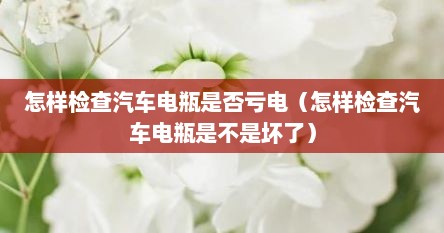 怎样检查汽车电瓶是否亏电（怎样检查汽车电瓶是不是坏了）