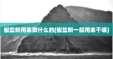 椒盐粉用来做什么的(椒盐粉一般用来干嘛)