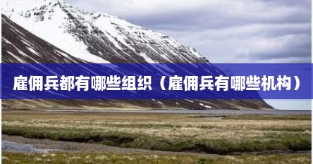 雇佣兵都有哪些组织(雇佣兵有哪些机构)