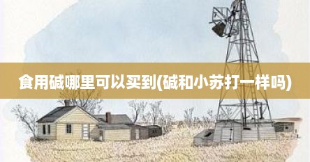 食用碱哪里可以买到(碱和小苏打一样吗)