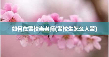 如何在警校当老师(警校生怎么入警)
