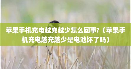 苹果手机充电越充越少怎么回事?(苹果手机充电越充越少是电池坏了吗) 苹果手机充电越充越少怎么回事?(苹果手机充电越充越少是电池坏了吗)