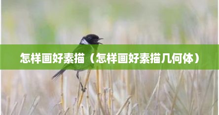 怎样画好素描（怎样画好素描几何体）