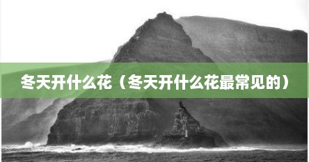 冬天开什么花（冬天开什么花最常见的）