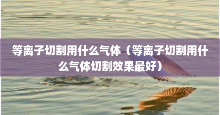 等离子切割用什么气体（等离子切割用什么气体切割效果最好）