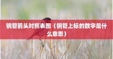 钢管箭头对照表图（钢管上标的数字是什么意思）
