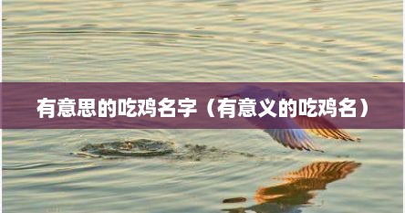 有意思的吃鸡名字（有意义的吃鸡名）