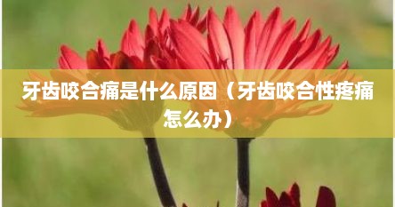 牙齿咬合疼痛是什么原因引起的（牙齿咬合疼痛是怎么回事吃什么药）