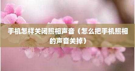 手机怎样关闭照相声音（怎么把手机照相的声音关掉）