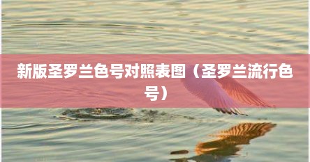 新版圣罗兰色号对照表图（圣罗兰流行色号）