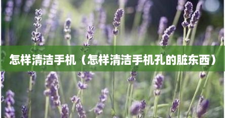 怎样清洁手机（怎样清洁手机孔的脏东西）